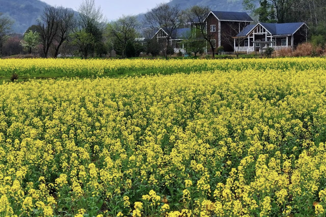 Wutong Flower Valley